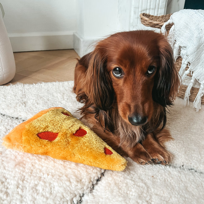Pizza dog