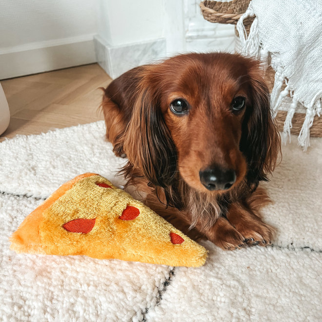 Pizza dog