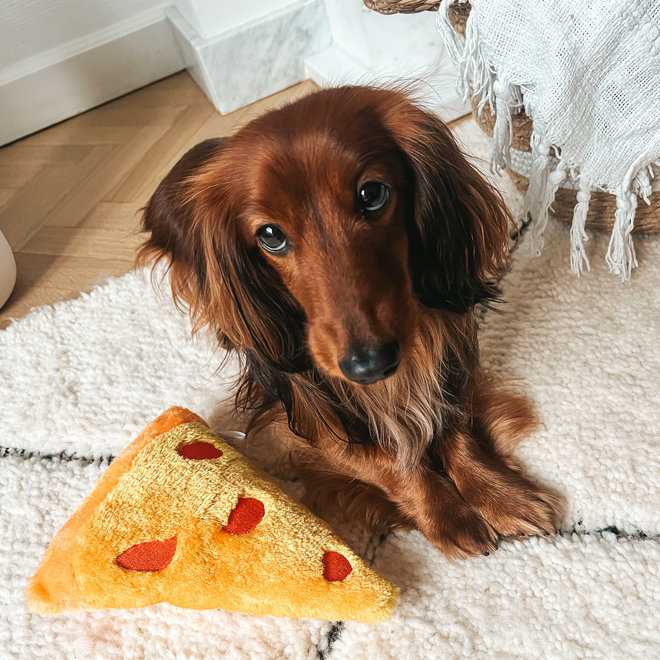 Pizza dog