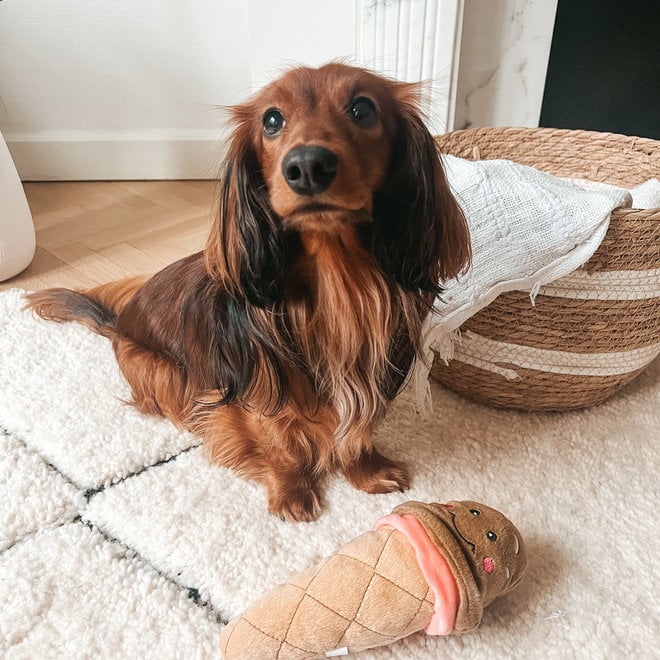 Ice cream dog