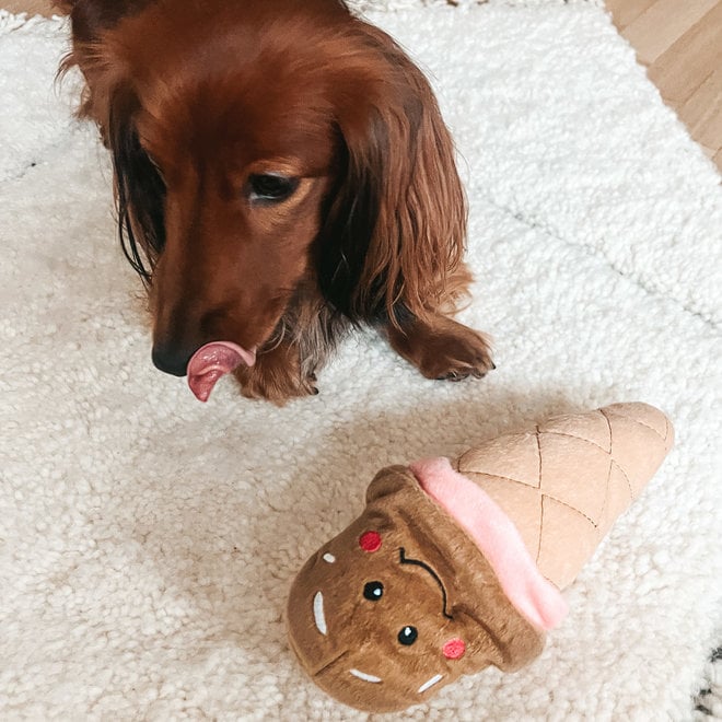 Ice cream dog