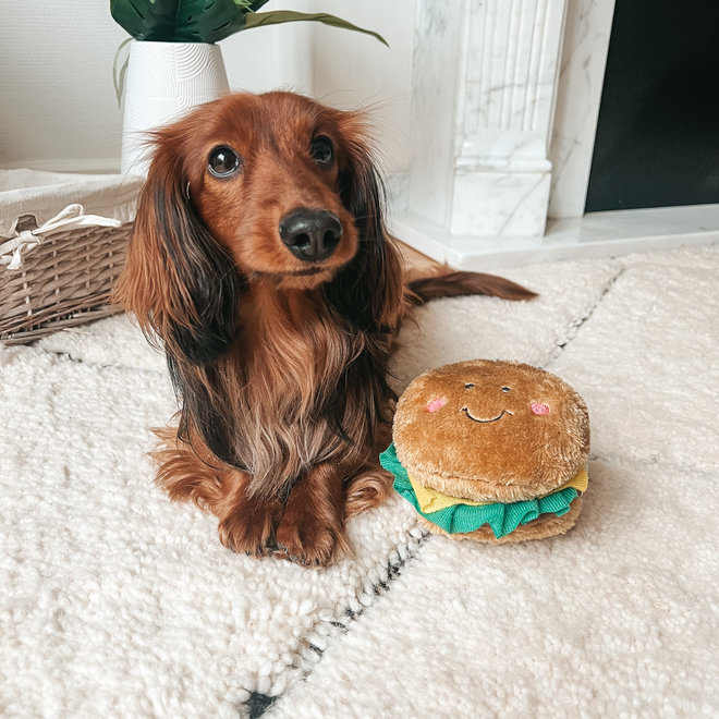 Burger dog