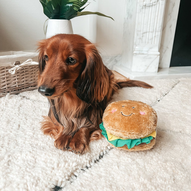 Burger dog