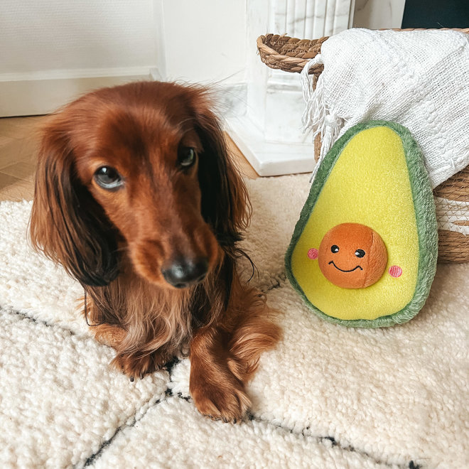 AvocaDog