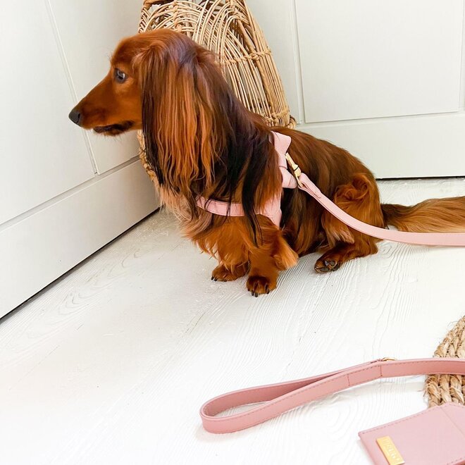 Harness Blush M