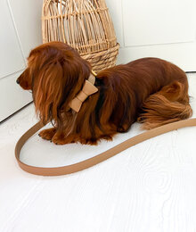 Collar 45 Caffe Latte