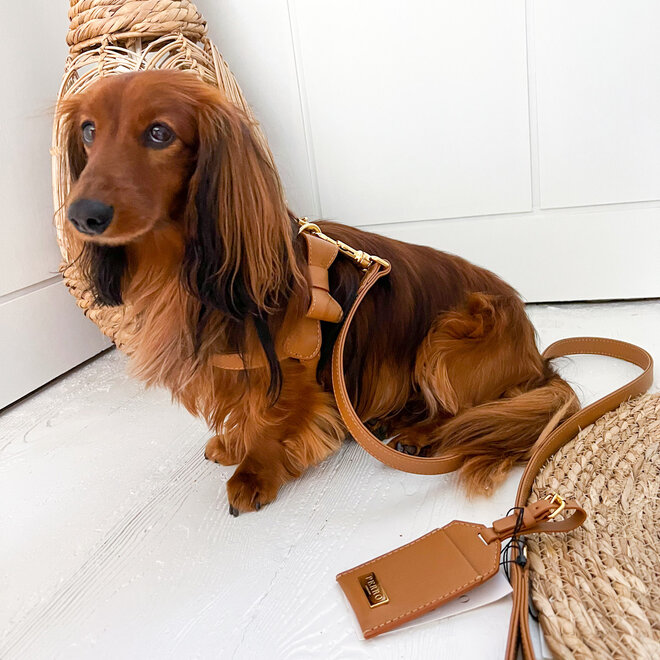 Leash Caramel M 130-2cm