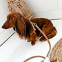 Leash Caffe Latte M 130-2cm