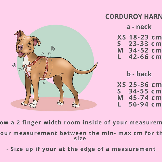 tuigje terry white M