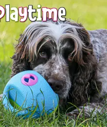 squeezy treats ball small