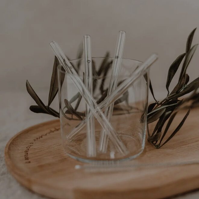 Glazen rietjes set van 4