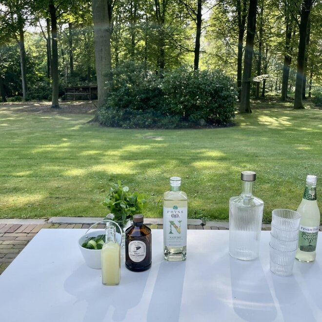Fryns lady red cheecks mocktail (violet- en suikersiroop)