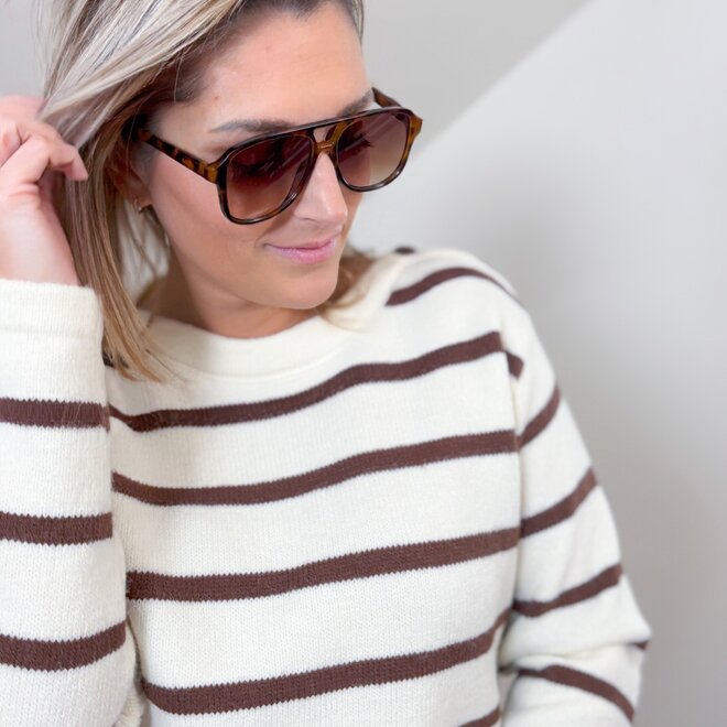 Striped button sweater brown