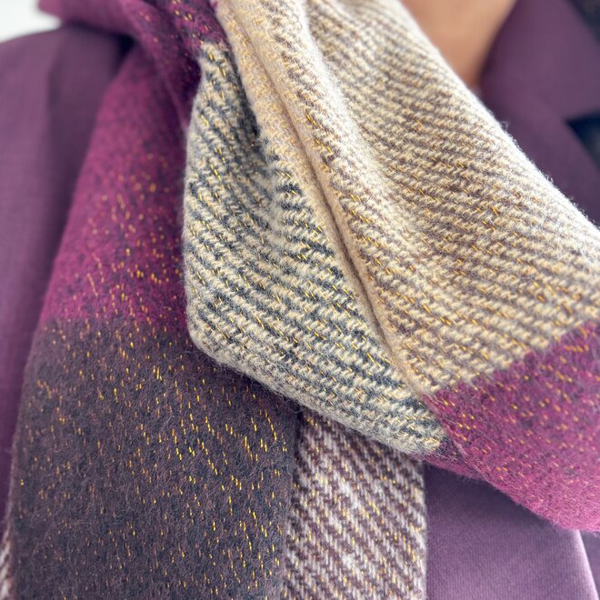 Multi color burgundy scarf