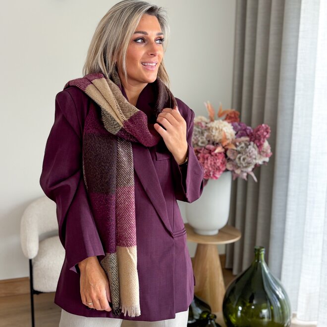 Multi color burgundy scarf