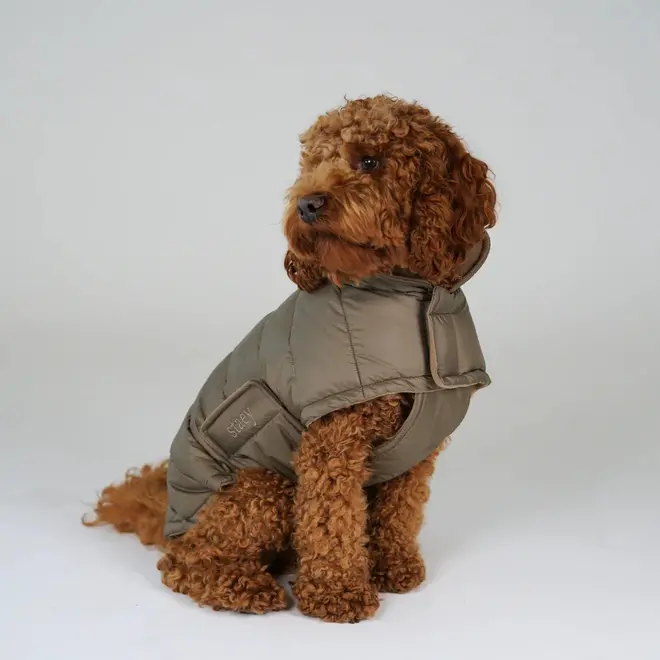 Bomber dog jacket L