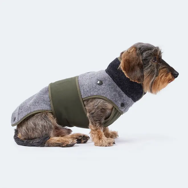 Dog Coat with removable Merino Fleece M