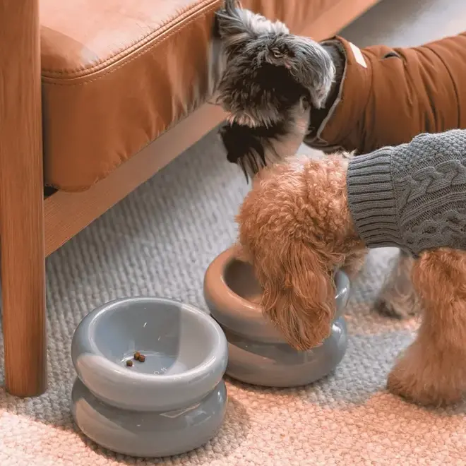 Haute Dog Hondenkom Blue