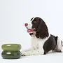 Haute Dog Dogbowl Green