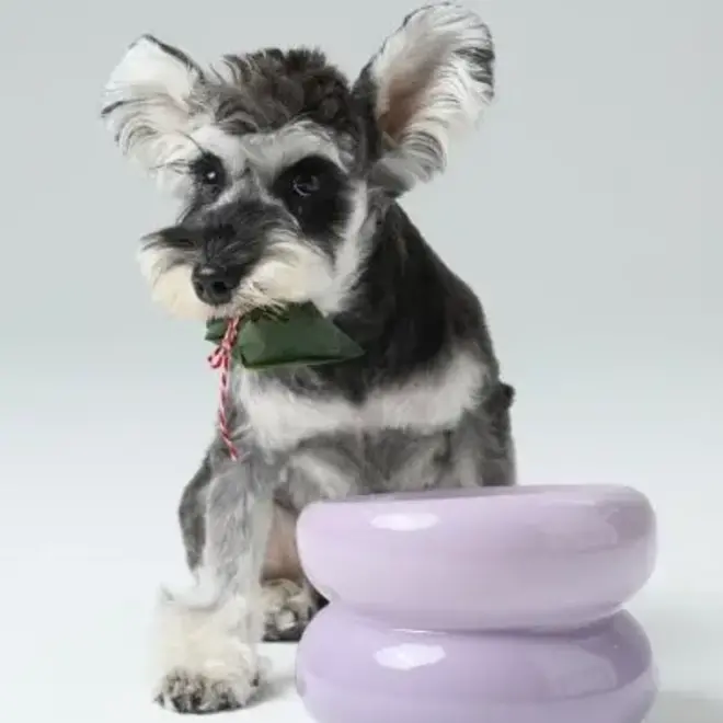 Haute Dog Hondenkom Lila