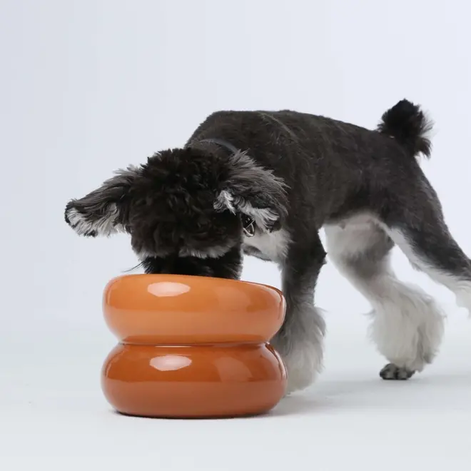 Haute Dog Hondenkom Orange