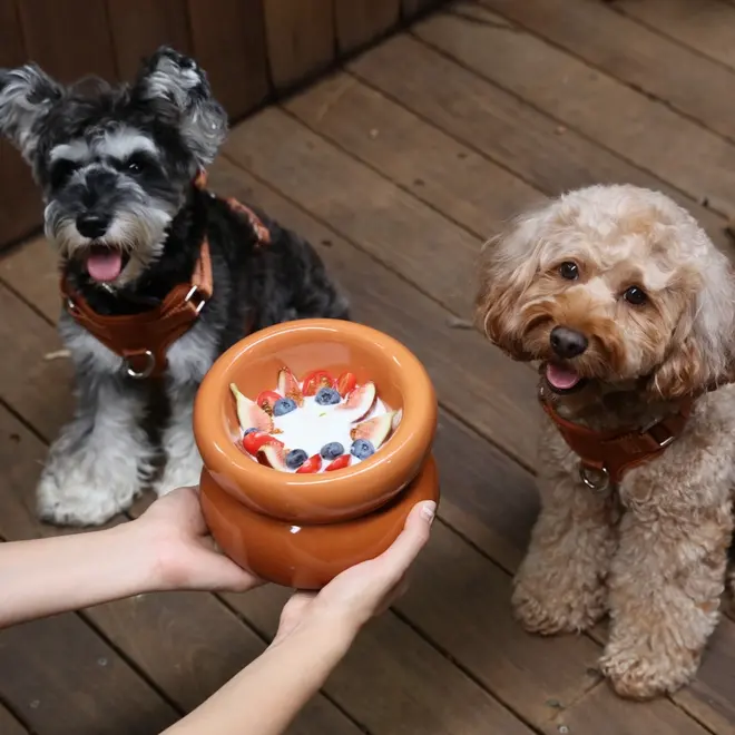 Haute Dog Hondenkom Orange