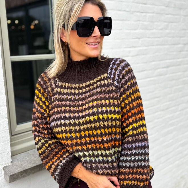 Palette de Couleurs Pull Brun