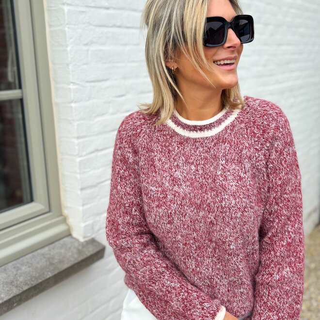 La Vie en Rose Pull