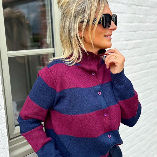 The crest cardigan navy/burgundy