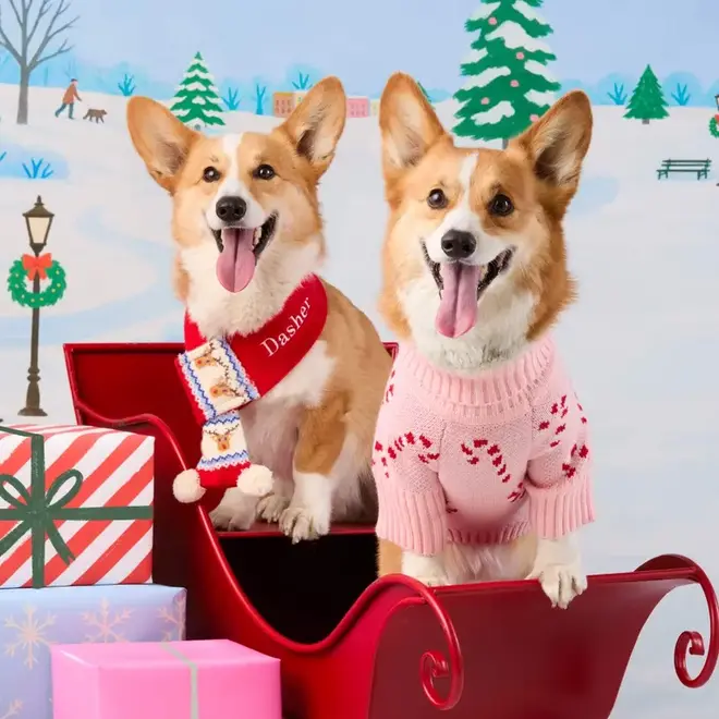 Reindeer Knit Dog Scarf