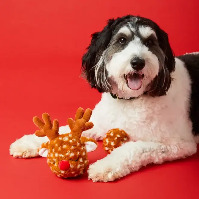 Reindeer Ball Toy