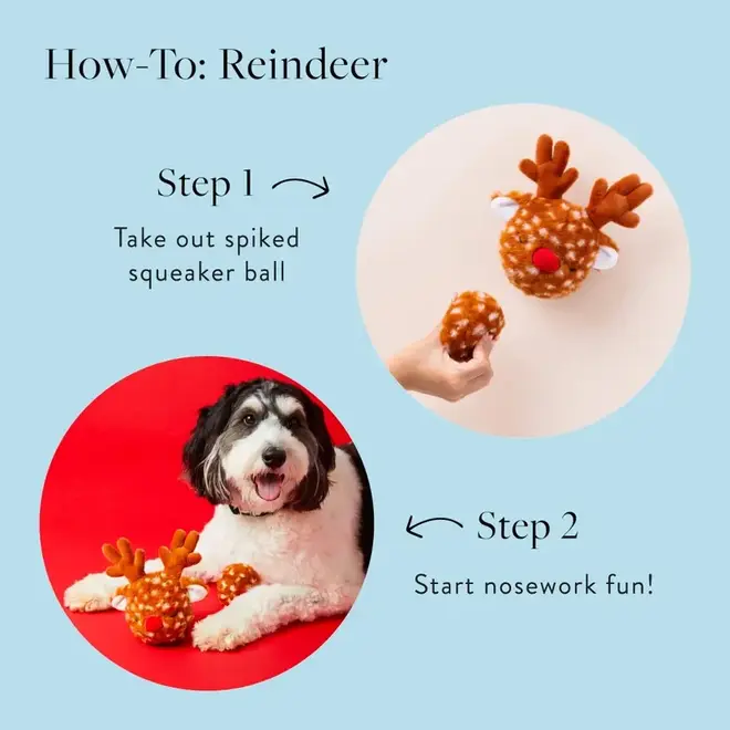 Reindeer Ball Toy