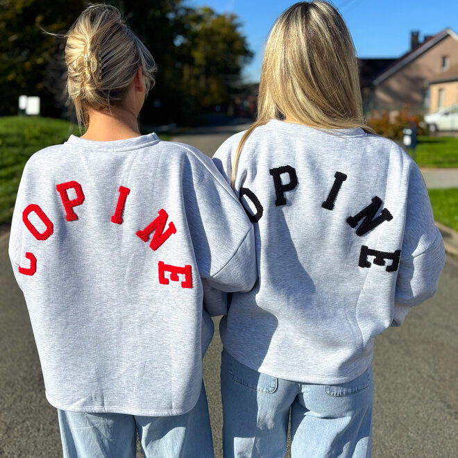 Copine Sweater Grey-Red