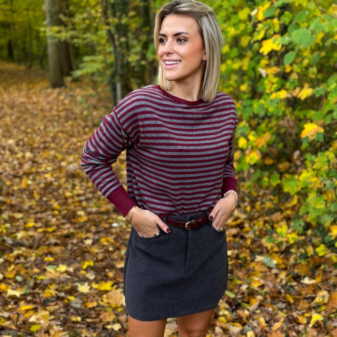 Hidden Grace skirt Grey