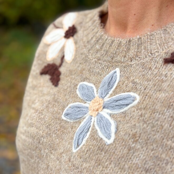 Fleur D'Epaule Pull Beige