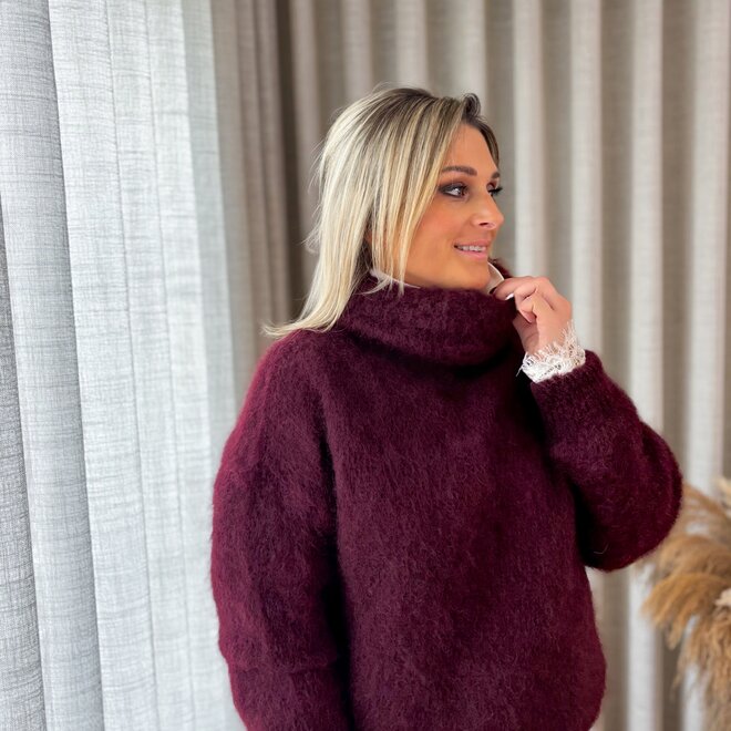 Soft snuggle rolneck burgundy