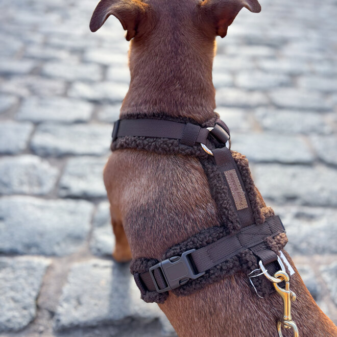 Teddy Y harnas brown