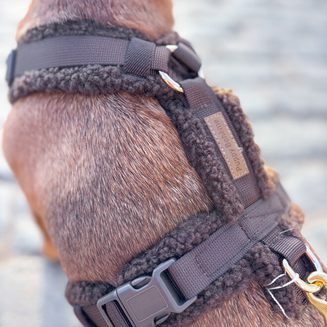 Teddy Y harnas brown