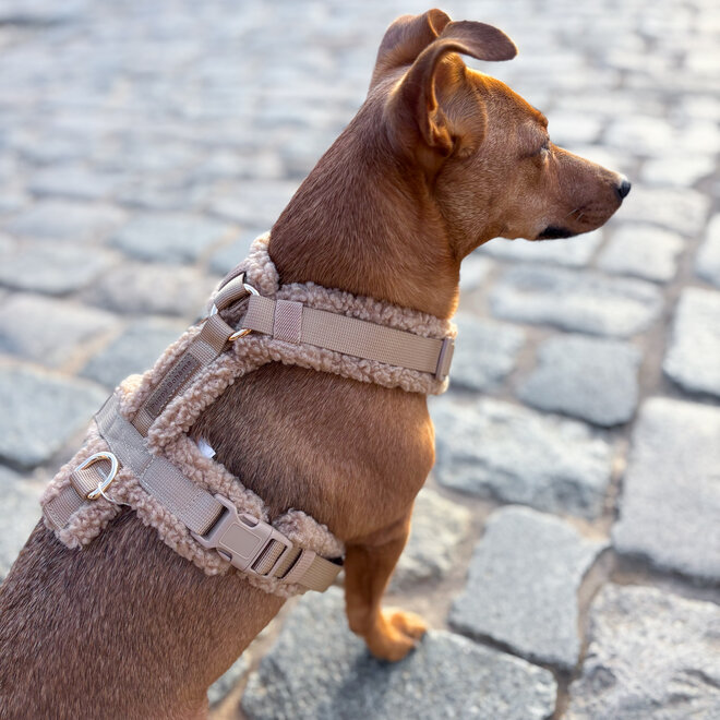 Teddy Y harnas beige