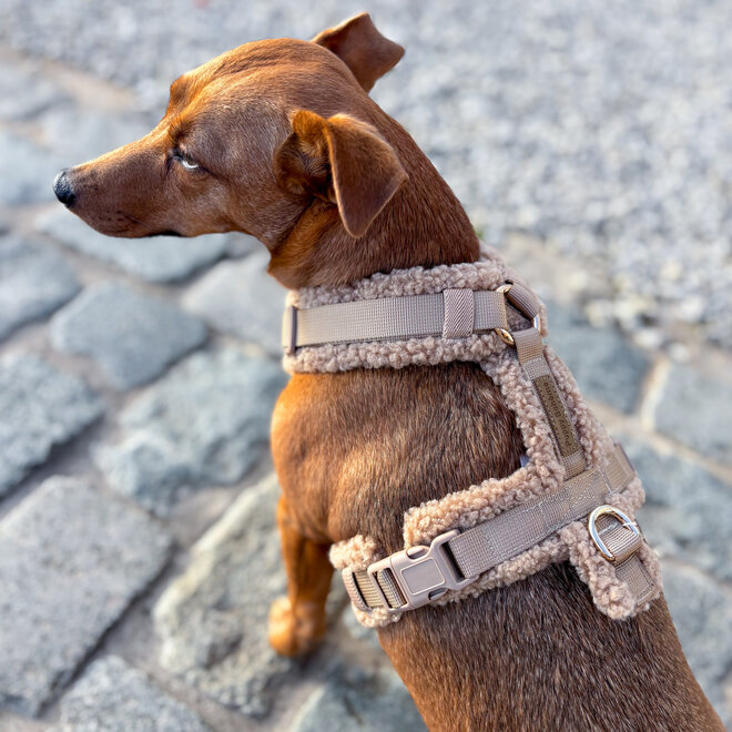 Teddy Y harnas beige