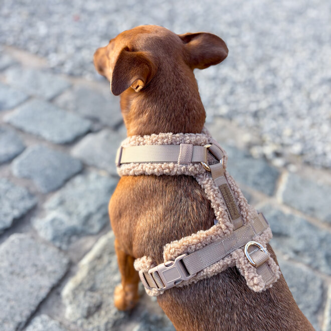 Teddy Y harnas beige