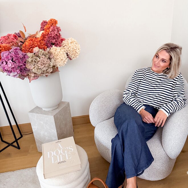 The breakline pull cashmere marine/ ecru