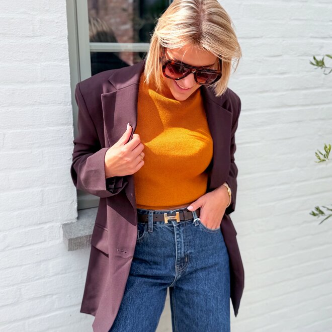 *The Classique Blazer Brown