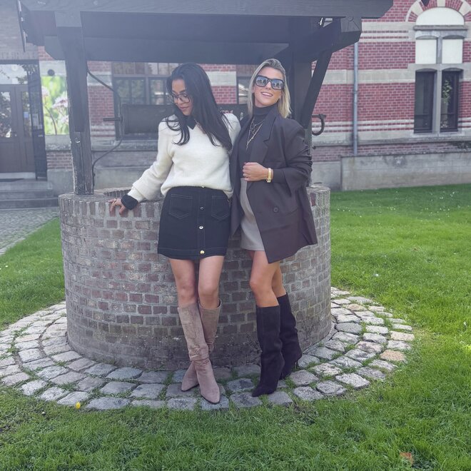 *Morgan skirt taupe