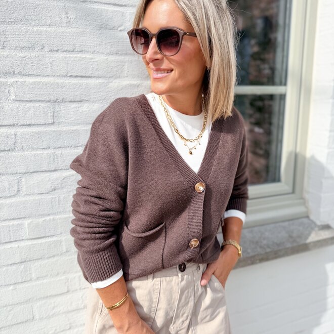 * Old school cardigan brown