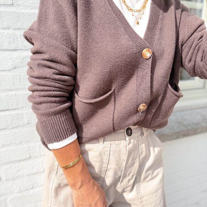 * Old school cardigan brown