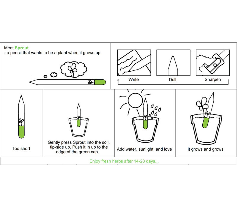 Sprout  Basilicum potlood