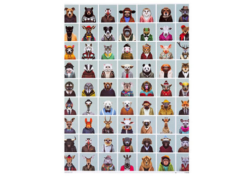 Holy Cow Poster Zoo portraits