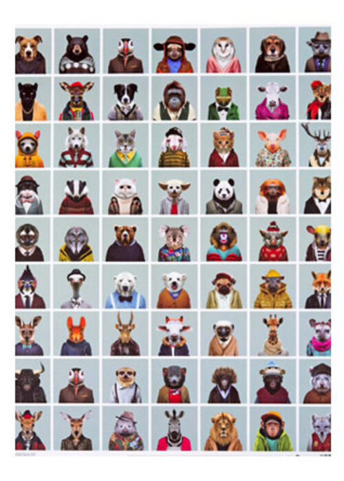 Holy Cow Poster Zoo portraits