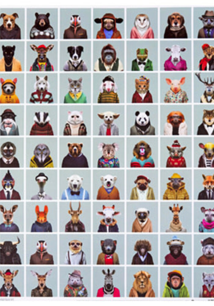 Poster Zoo portraits